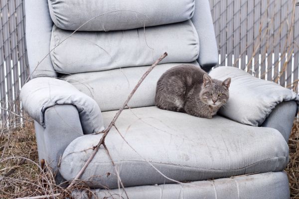 Recliner Disposal in Port Charlotte